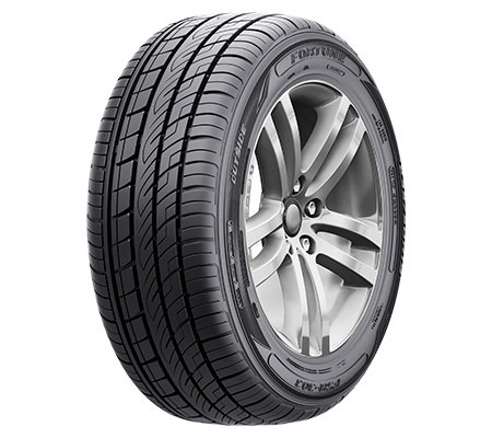 Pneu Fortune Tire Fsr303 255/45 R20 105y