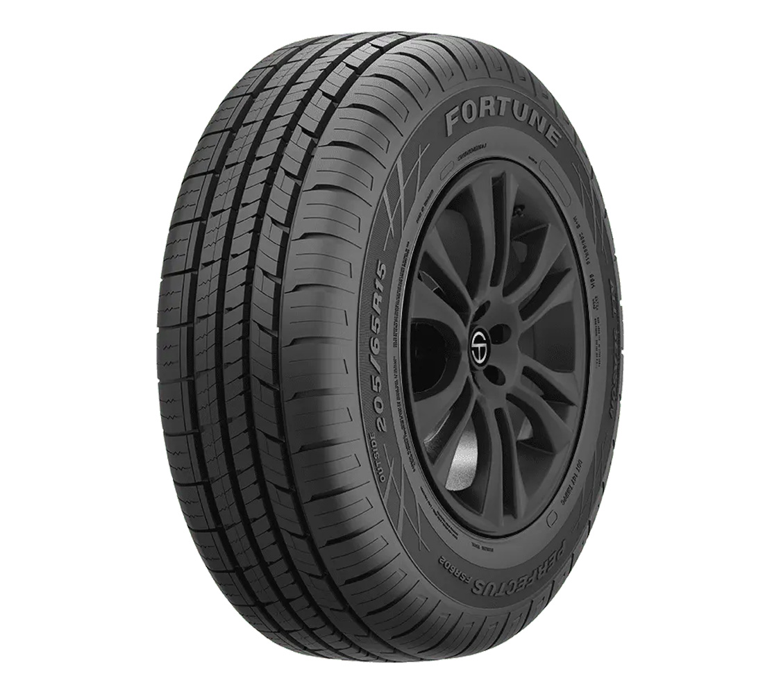 Pneu Fortune FSR-602 215/55 R17 94V