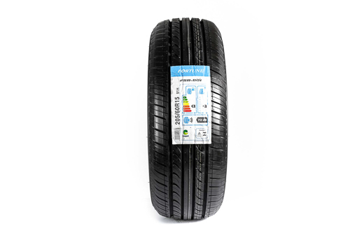 Pneu Fortune FSR-801 205/60 R15 91H