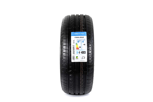 Pneu Fortune FSR-802 205/50 R17 93V