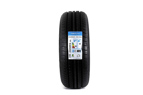 Pneu Fortune FSR-802 205/60 R16 92V