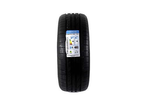 Pneu Fortune FSR-702 225/50 R18 95Y